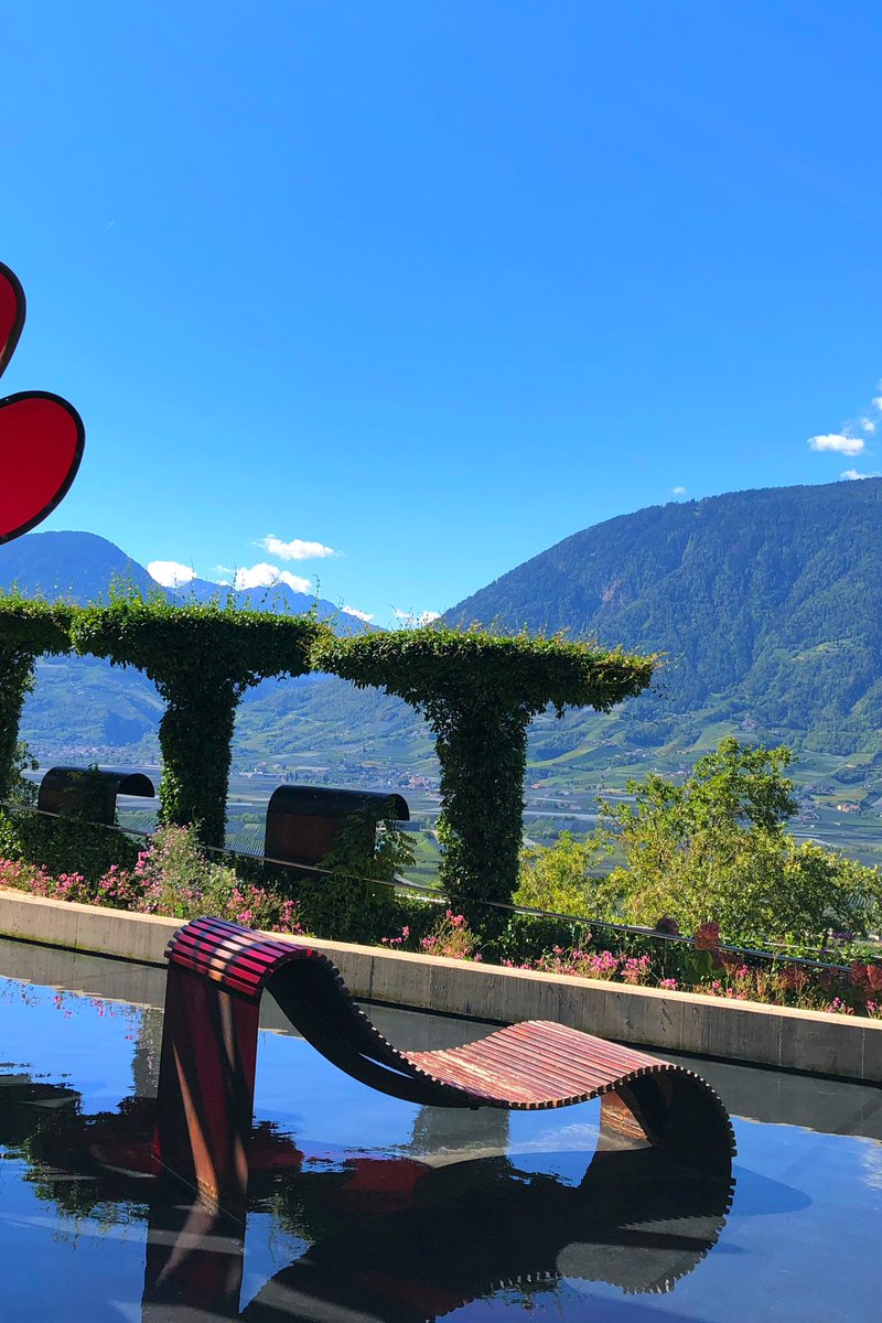Pipa_Muc's tweet photo. Trauttmansdorff Gardens,  South Tyrol 🇮🇹
#gardens #merano #GardeningX https://t.co/jiSBrVym3F