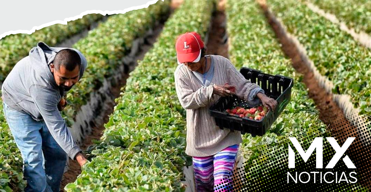 MXNoticias24's tweet photo. ACTIVIDAD ECONÓMICA INTERANUAL CRECE EN MÉXICO
El #Inegi reporta que la #ActividadEconómica en México creció 1.6% #Interanual en mayo, gracias a los sectores terciario y secundario. Sin embargo, el #IGAE cayó 0.7% mensual.
https://t.co/rIQoAxyQc5 https://t.co/kK8YsTVRzl