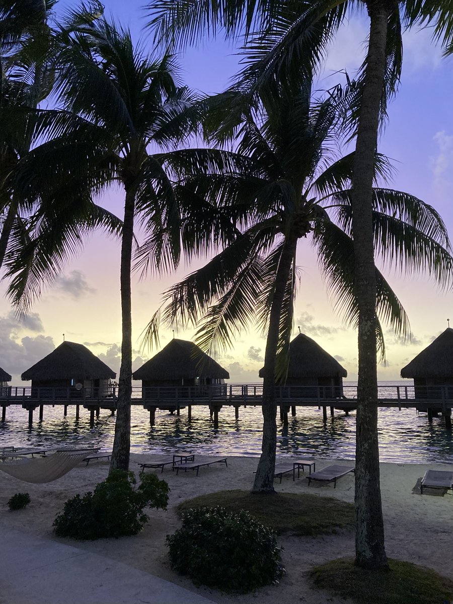 stickynote tweet media