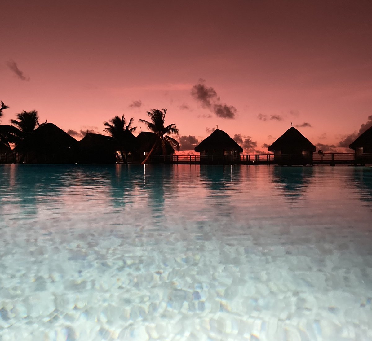 stickynote tweet media