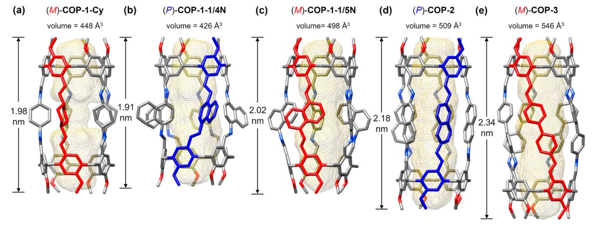 Andrew Sue (@andrew_sue) on Twitter photo Building on reticular chemistry principles, we’ve expanded our covalent organic pillars into a larger iCOPs family. These discrete nanotubular structures act as deep cavitands, ideal for hosting long alkyl guests. Check out the extensive X-ray crystal structures at <a href="/J_A_C_S/">J. Am. Chem. Soc.</a>! Building on reticular chemistry principles, we’ve expanded our covalent organic pillars into a larger iCOPs family. These discrete nanotubular structures act as deep cavitands, ideal for hosting long alkyl guests. Check out the extensive X-ray crystal structures at <a href="/J_A_C_S/">J. Am. Chem. Soc.</a>!