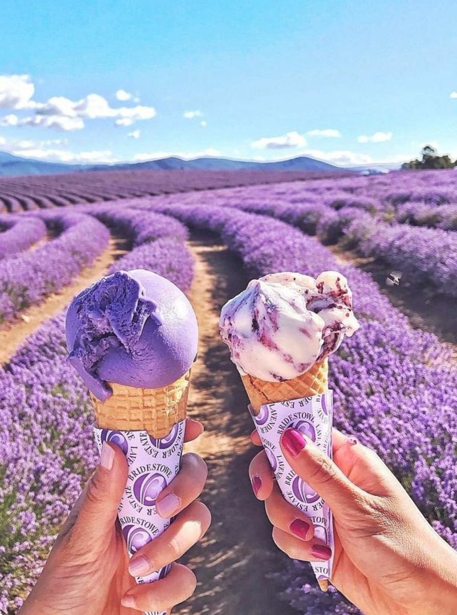 _KrSl8's tweet photo. 🪻Purple Vibes 🤍🩷💜 https://t.co/to4HVzKKlt
