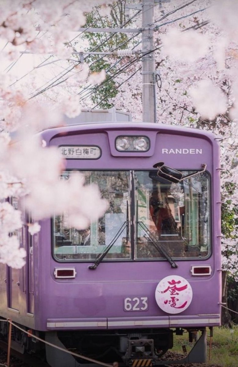 _KrSl8's tweet photo. 🪻Purple Vibes 🤍🩷💜 https://t.co/to4HVzKKlt