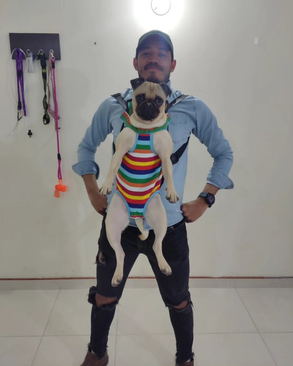 ArnoldoJos22059's tweet photo. #mihija #miperrita #pug #AnimalsLover #BuenosDiasATodos #FelizLunesATodos #mascotas #petslover #pugs #chamo #amor #miamor https://t.co/kgNDV42F1S