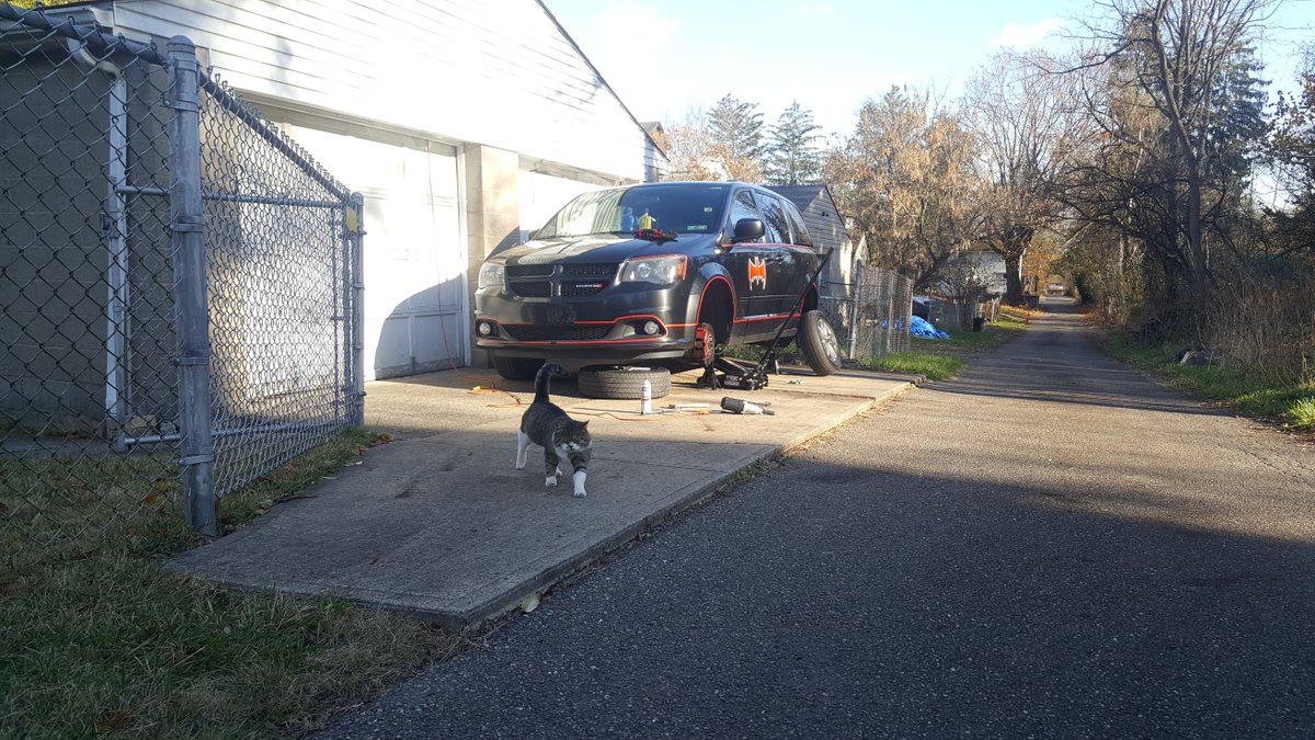 LancesGarage's tweet photo. @BQQuinn
Hearing you talk on TESD about your yard cat that got taken out hit me a lil hard.

I just buried a stray I was feeding for a couple years. I think the dickhead got hit by a car. But as shitty as he was, he was my friend. Always helped with my UberVan repairs. https://t.co/JkKCbSu48s