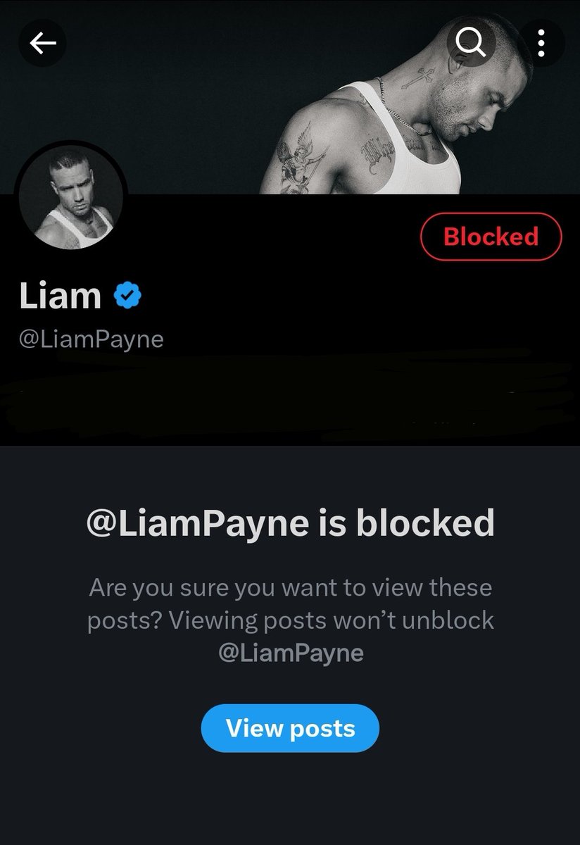 Harry didn't post anything on LOT anniversary so I blocked liam payne