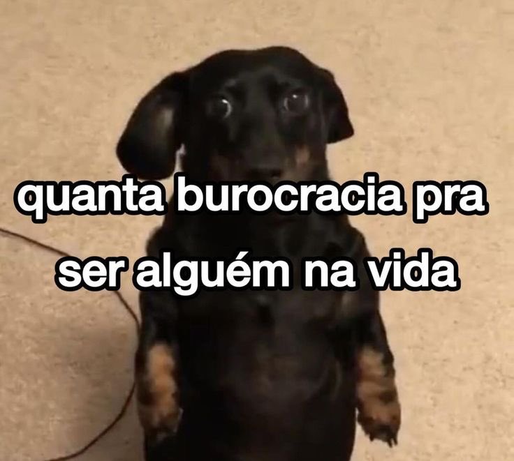 Itspedrito's tweet photo. muita https://t.co/QZWWOycGTO