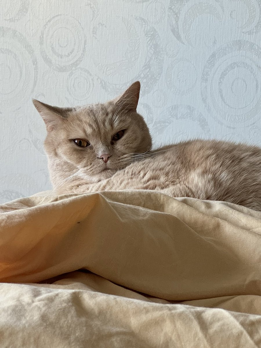 Drimaryna's tweet photo. Мої 2 стани https://t.co/dNZuuAi6Dl