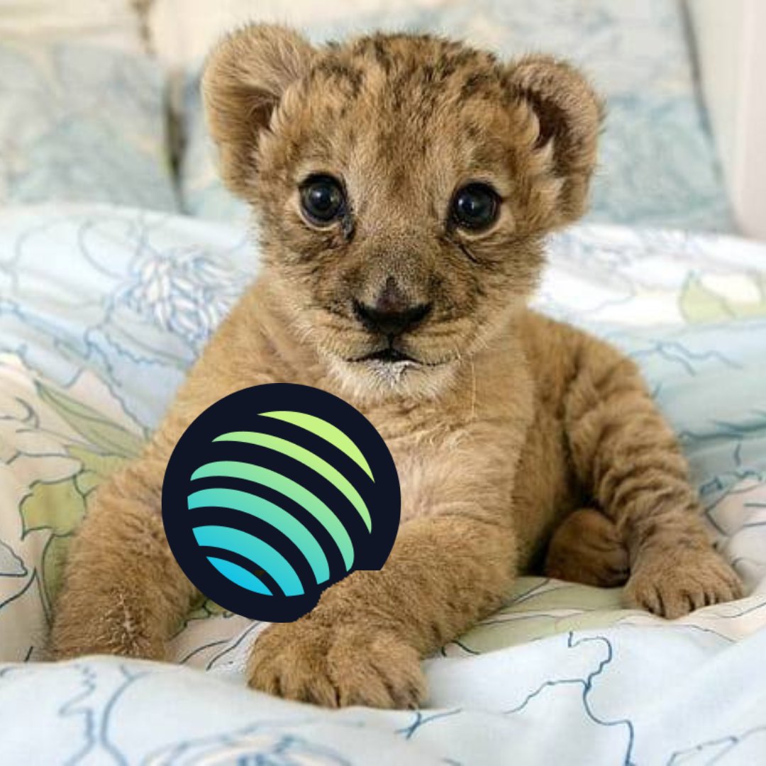 WillyCoinSOLXyz's tweet photo. CA: HPEuArjrUccrXWZhcQUhC2nhN7XgGyaogjy4BLN8pump

@JupiterExchange https://t.co/vsRGL1GaXN