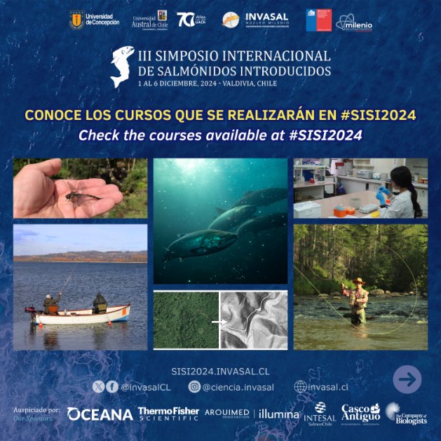 invasalCL's tweet image. 🔥¡¡¡Te invitamos a conocer los cursos que tendremos en el III Simposio de Salmónidos Introducidos #SISI2024!!!