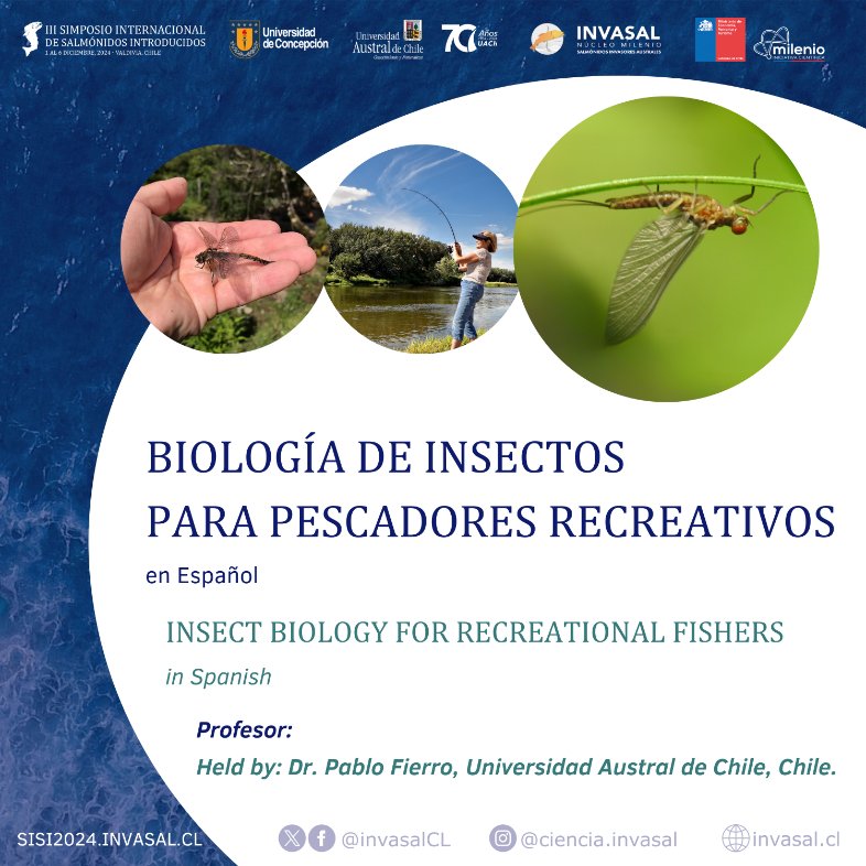 invasalCL's tweet image. 🔥¡¡¡Te invitamos a conocer los cursos que tendremos en el III Simposio de Salmónidos Introducidos #SISI2024!!!
