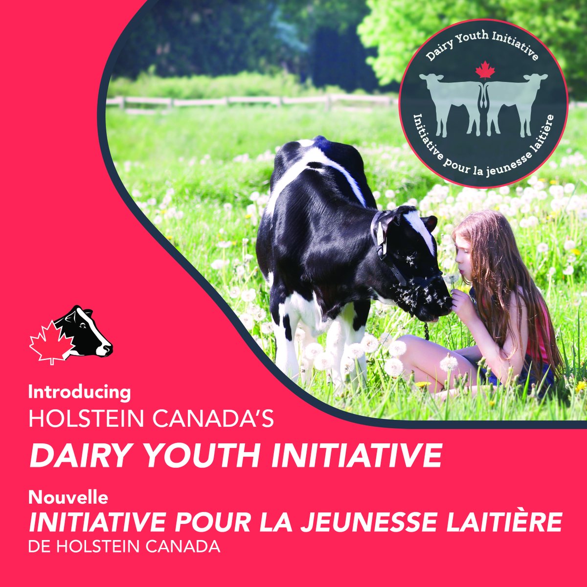 🐄 Introducing Holstein Canada's Dairy Youth Initiative! 🌟

Calling all dairy enthusiasts under 21 from across Canada! Join us for an udderly exciting experience as we launch the Dairy Youth Initiative, designed to showcase and empower young dairy enthusiasts like you. If you