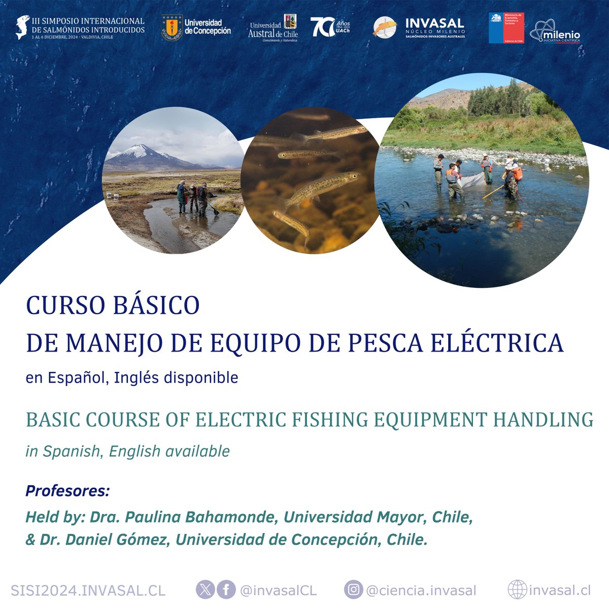 Centro IRIS tweet media