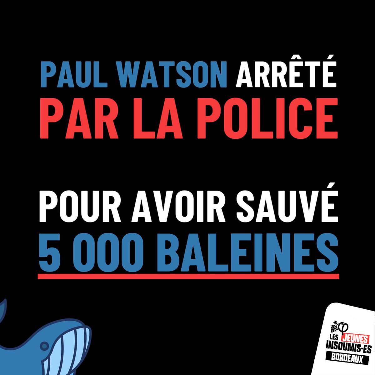 JeunesFIBdx's tweet photo. 🚨🚨🚨 Libérez le capitaine Paul Watson !

Fondateur de Sea Shepherd, Paul Watson a été arrêté au Groenland par les autorités danoises.

Son crime ? Avoir tenu tête aux baleiniers japonais et sauvé des milliers de cétacés.

Mobilisons-nous pour exiger sa libération !

1/2 https://t.co/A9lkRpUu3Q