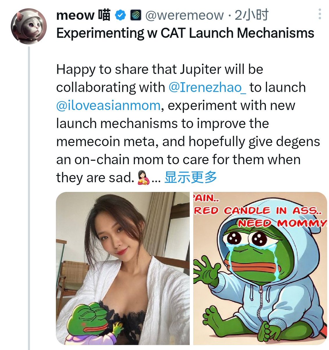 LeotheHorseman's tweet photo. 如果项目靠好的产品和机制设计取胜，就一定要爱惜羽毛，不要和grifter合作，博取一时的流量。

一个反例：JUP @weremeow 和Asian Mom @Irenezhao_ 合作发行PPP memecoin，后者却被链上侦探 Zach 指出：
- 项目Rug，币价归零
- 在投资者未知的情况下，将未解锁代币出售给DWF labs

圈子很小，不要乱搞。 https://t.co/004xBcw4A6