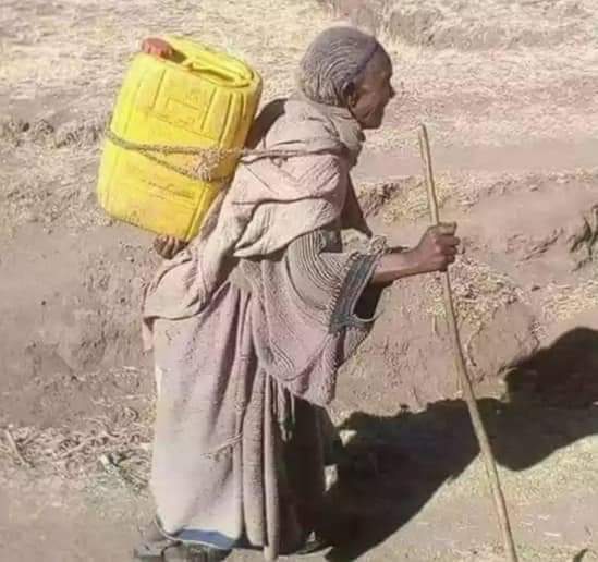 ዮሐንስ Yohannes አድማሱ tweet media