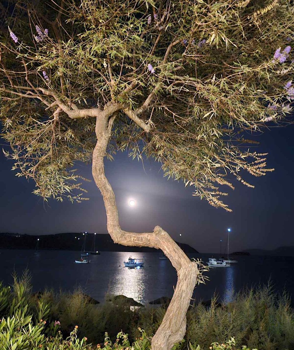 MDina_Mix's tweet photo. Απολαμβάνοντας τις στιγμές..!!
Η 📸 δική μου..
Καληνύχτα σας..!! https://t.co/aHNalS5tAo