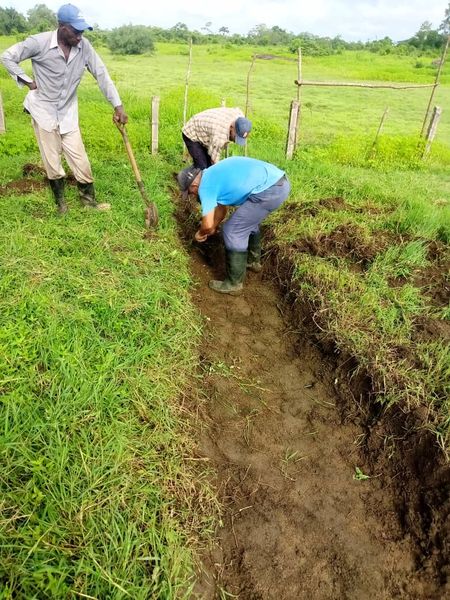 La UEB Acueducto Najasa realizando mantenimiento manual en zanja carretera Cubacán, en la lucha contra el mosquito.