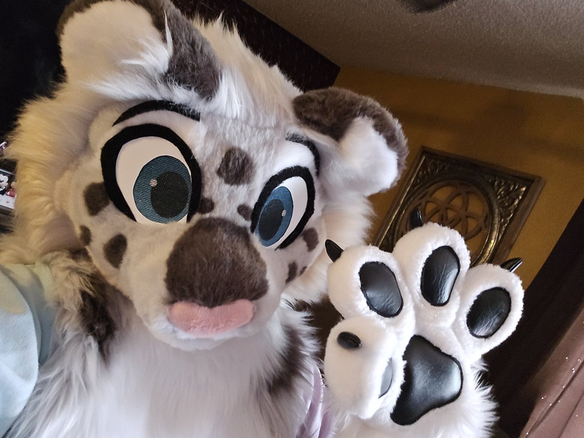 SneppyJake's tweet image. The first of many. Welcome home Aurora!!!