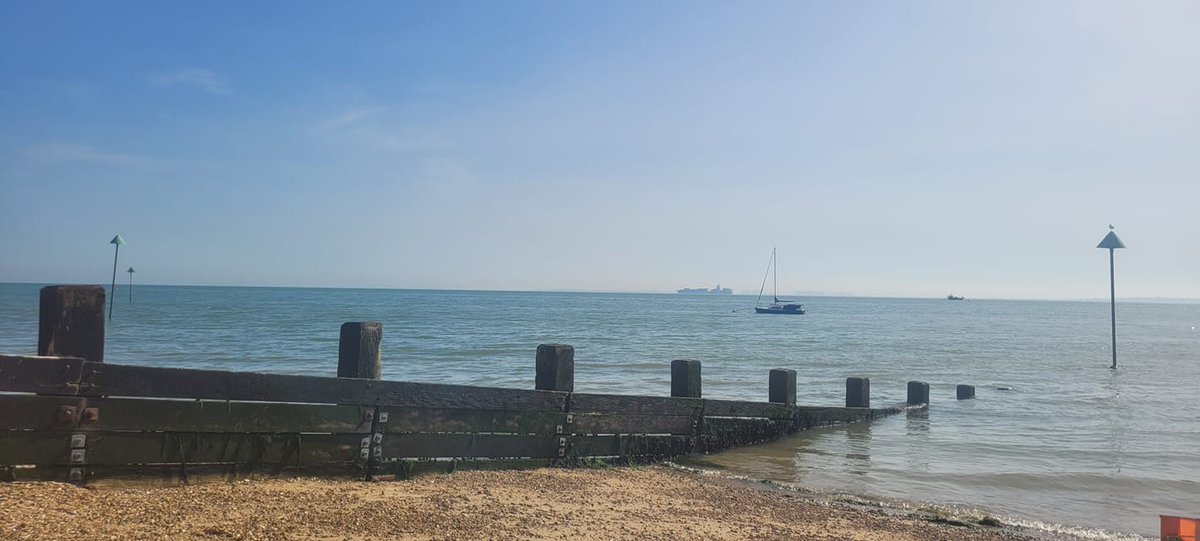 Photo by Susanj Barnes