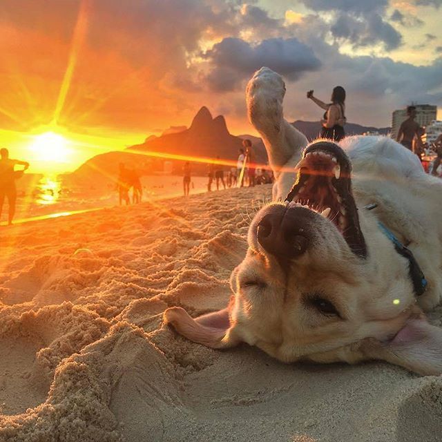 Patilerine kurban olun! #YasaDeğilCinayet