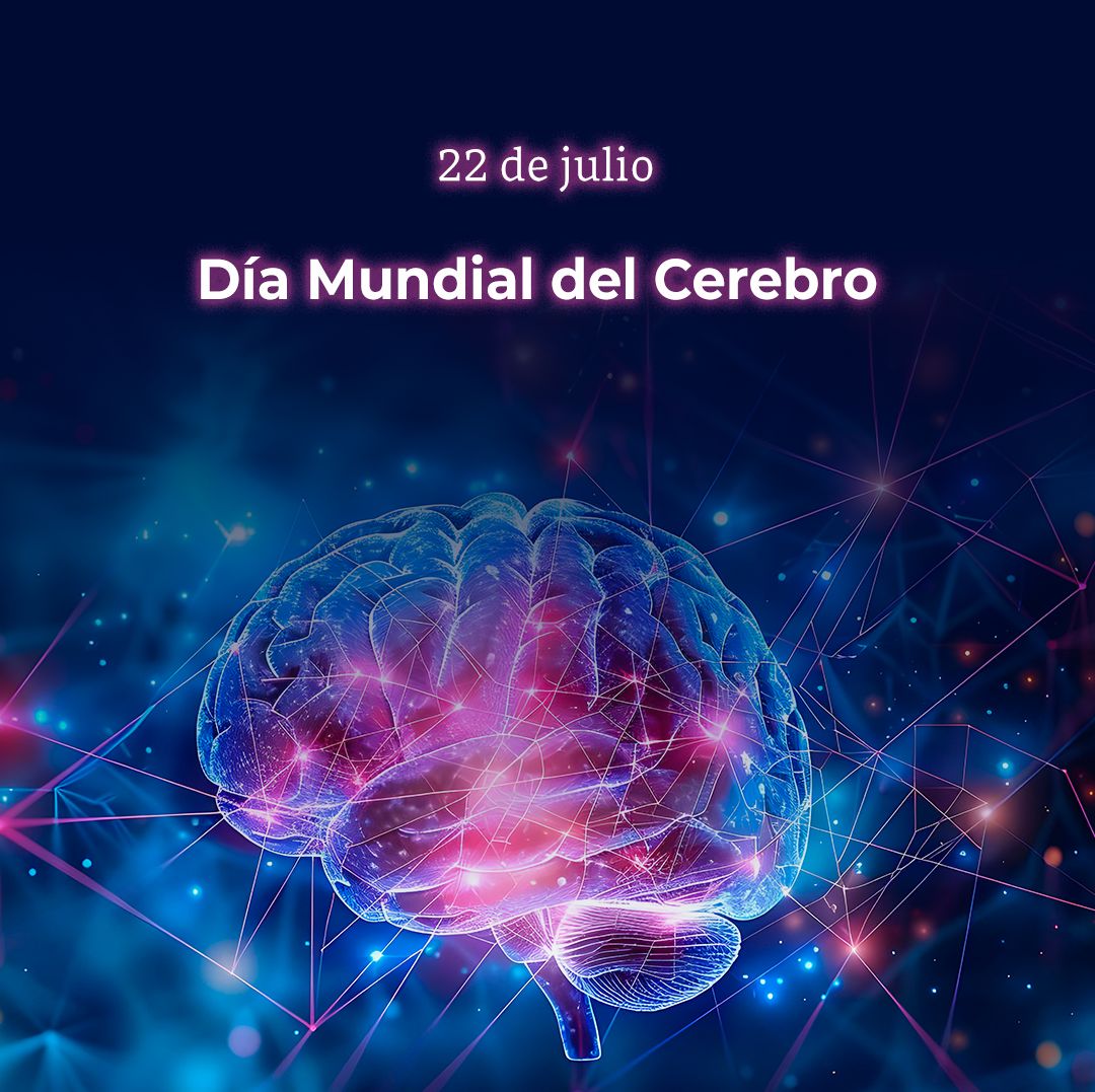 RocioBarcenaM's tweet photo. La Federación Mundial de Neurología promovió el establecimiento de esta fecha para generar conciencia sobre los cuidados, enfermedades y potencial de este órgano vital. https://t.co/NNdB7wdBxm