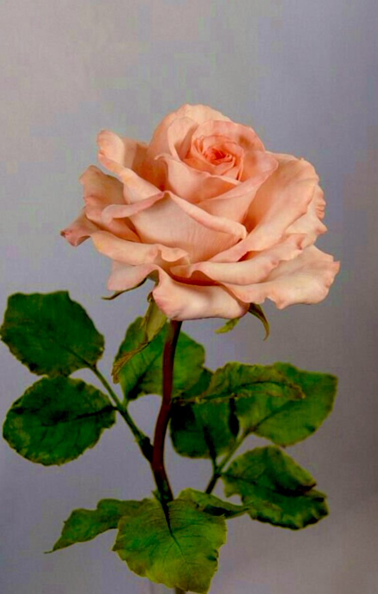 "seni bir kez inciten / bin kez daha incitebilir."