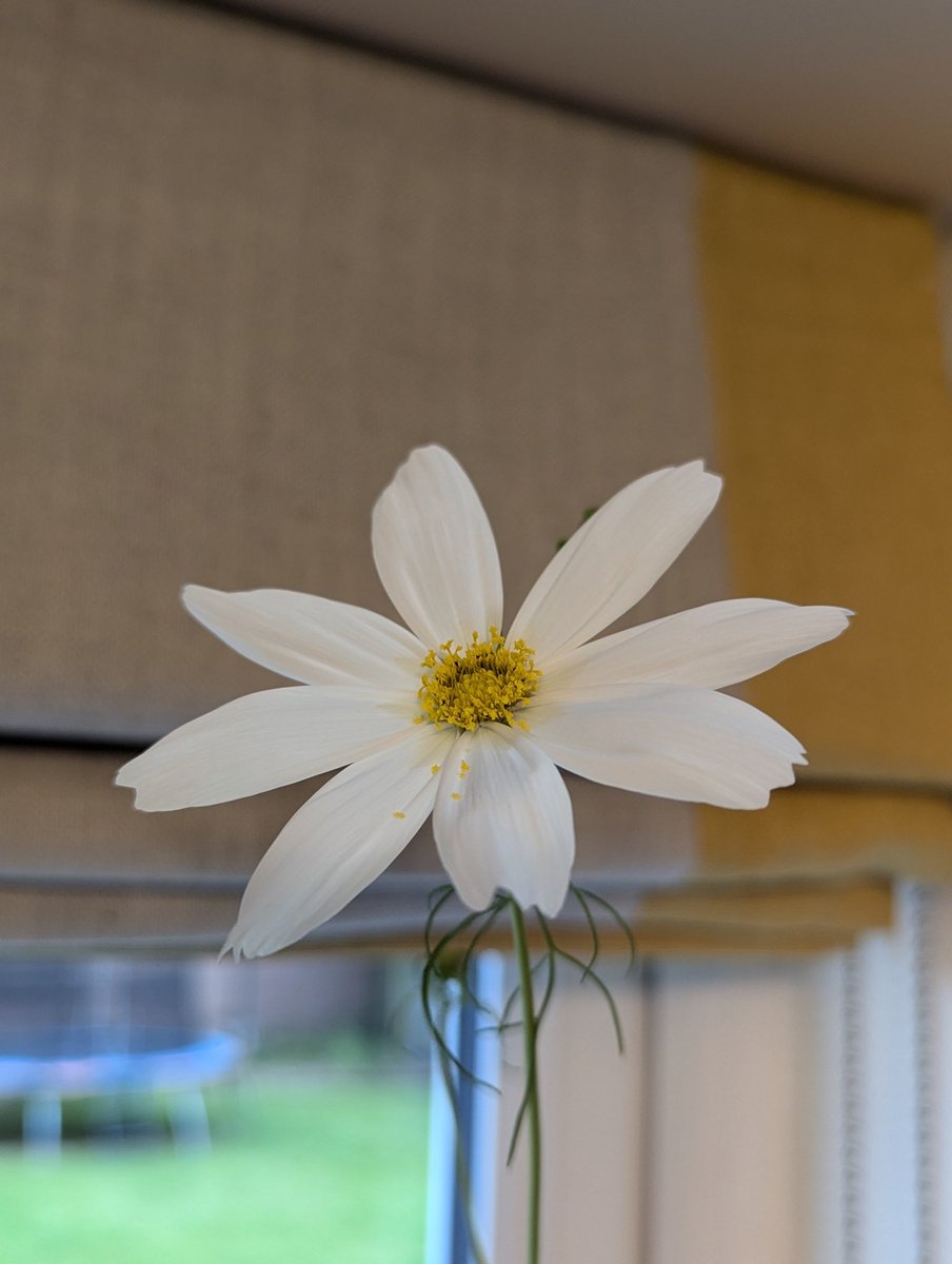 Dean Butterworth tweet media