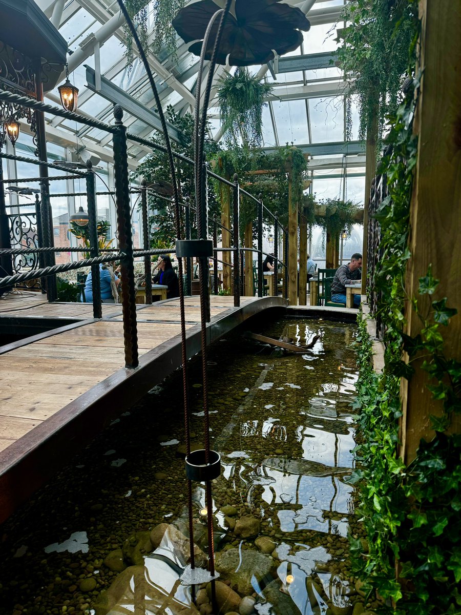 SamHawcroft_'s tweet photo. Enjoyed a fab meal at the new Iron Lilies restaurant at @PrincesQuayHull - atmospheric setting, chilled live music, cocktails - writing up for the next @BWMagazineHEY https://t.co/wVv3b7qi7l