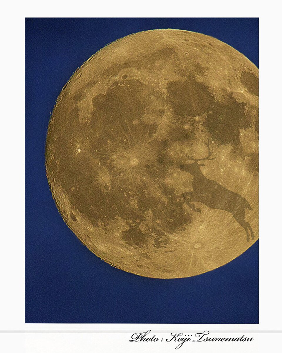 studiosilk1992's tweet photo. 21日のバックムーン🌝 #しまねぐらむ #出雲の風景 #バックムーン #backmoon #満月 #松江 #出雲 #平田 #写真 #出雲のカメラマン #スタジオシルク #フォトスタジオシルク #出雲写真館 #出雲スタジオ https://t.co/ga4ZAsVYvL