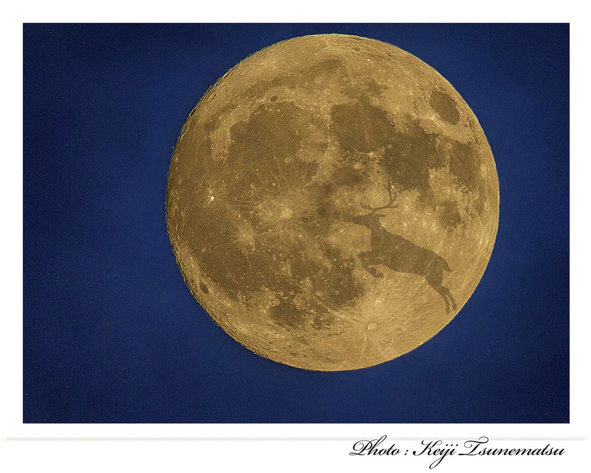 studiosilk1992's tweet photo. 21日のバックムーン🌝 #しまねぐらむ #出雲の風景 #バックムーン #backmoon #満月 #松江 #出雲 #平田 #写真 #出雲のカメラマン #スタジオシルク #フォトスタジオシルク #出雲写真館 #出雲スタジオ https://t.co/ga4ZAsVYvL