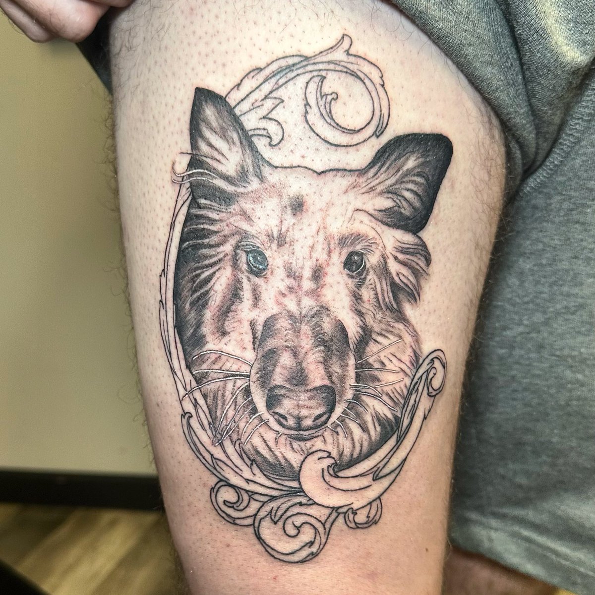 quiteriotattoo's tweet photo. Black and grey dog portrait tattoo
.
.
.
#dog #portrait #tattoo https://t.co/uJDFxXytw0