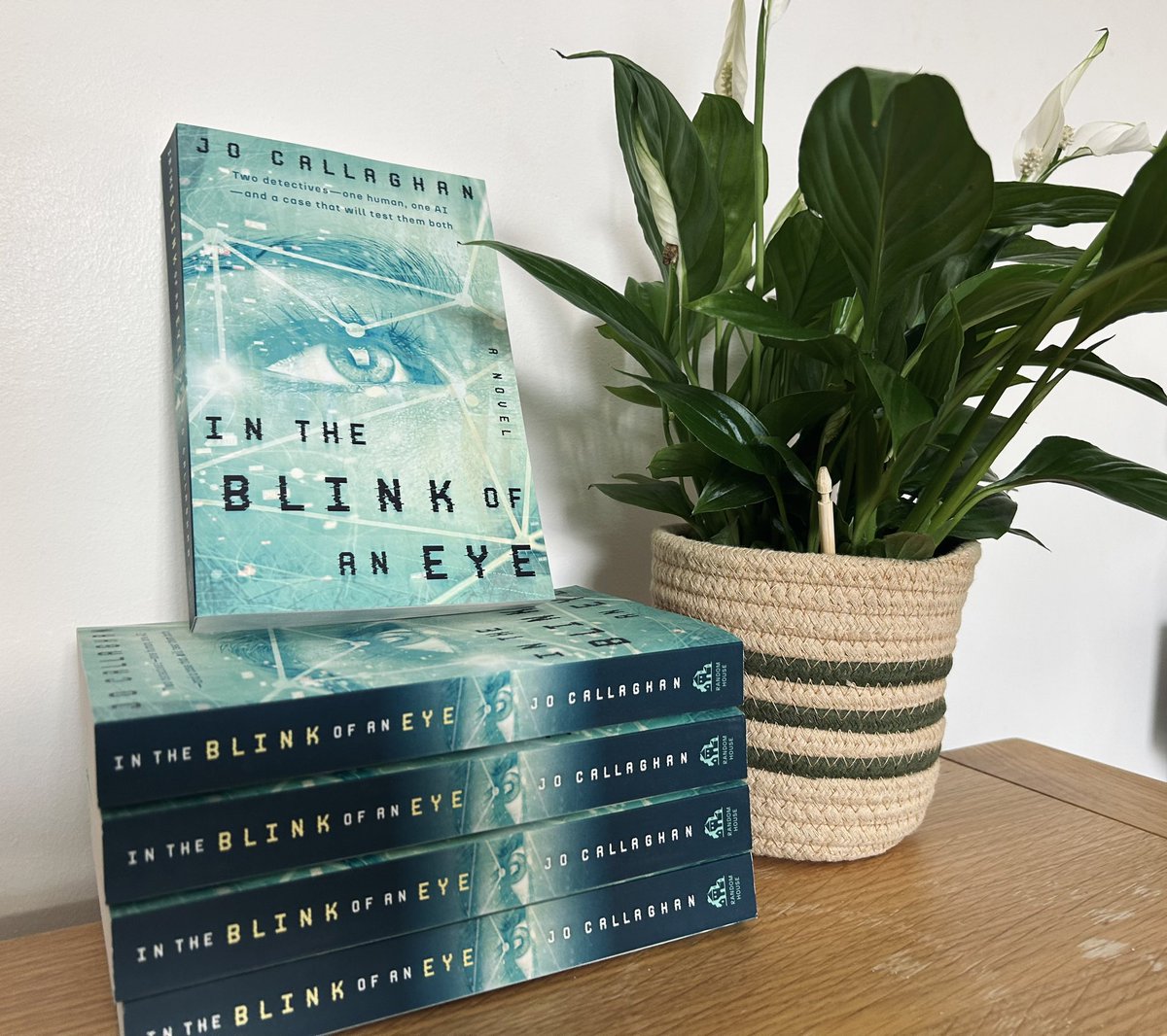JoCallaghanKat's tweet image. So excited to see and hold this gorgeous American cover for In the Blink of an Eye. Thank you to @penguinrandom for doing such a beautiful job - I can’t wait to hear what US readers think of it when it comes out on August 6th!