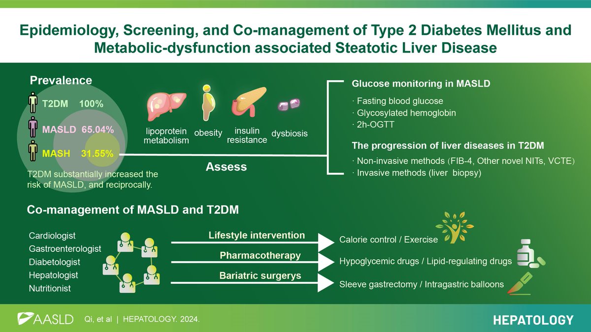 HEPATOLOGY Journal (@hep_journal) on Twitter photo REVIEW
Epidemiology, screening, and co-management of type 2 diabetes mellitus and metabolic dysfunction–associated steatotic liver disease
Qi et al.
​​#LiverX <a href="/DrLoomba/">Rohit Loomba</a>
tinyurl.com/297a6kt6 REVIEW
Epidemiology, screening, and co-management of type 2 diabetes mellitus and metabolic dysfunction–associated steatotic liver disease
Qi et al.
​​#LiverX <a href="/DrLoomba/">Rohit Loomba</a>
tinyurl.com/297a6kt6