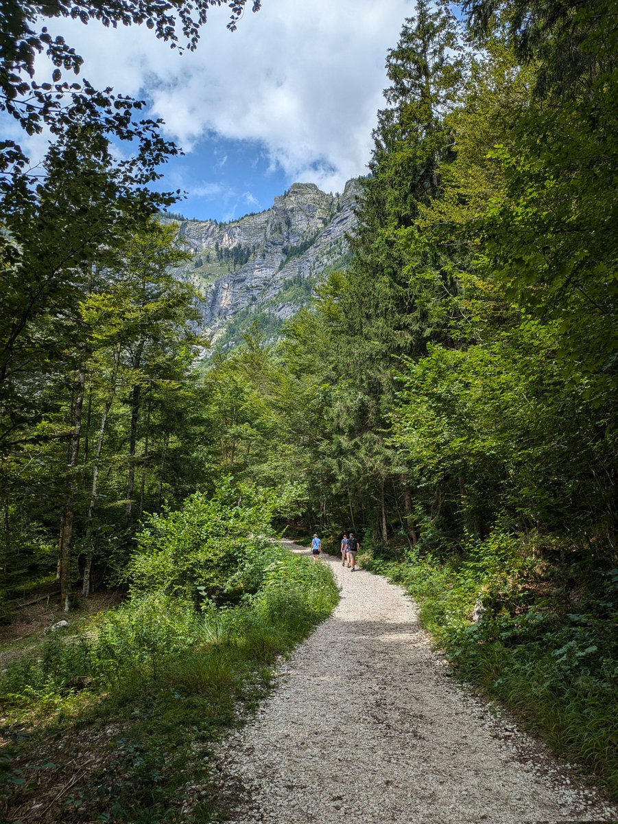 campervanfamfun's tweet photo. We are in Slovenia. And it is stunning! Today we cycled to the lake through flower filled meadows, boat trip on #lakeBohinj and walk up to #SlapSavica.
#ReadTourExplore #inspiringadventures #caravanandmotorhomeclub #literarytravels @candmclub
@AlanRogers @Media_CAMC https://t.co/XAqyh973kW