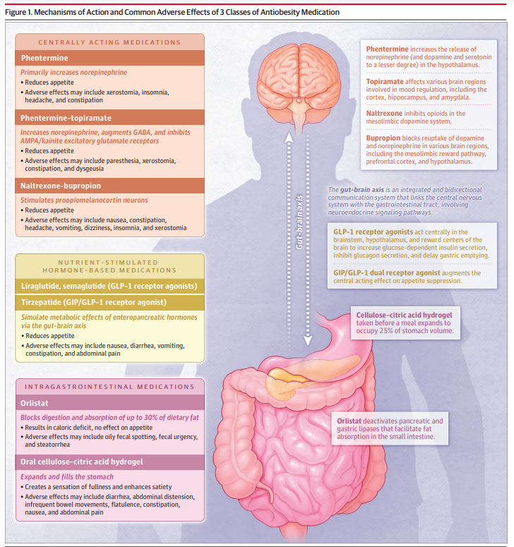 JAMA_current's tweet photo. Obesity is associated with multiple comorbidities. This review examines the safety and efficacy of antiobesity medications in conjunction with lifestyle modification according to their mechanism of action. https://t.co/tchwtN4aph https://t.co/jvUsZjVNdx