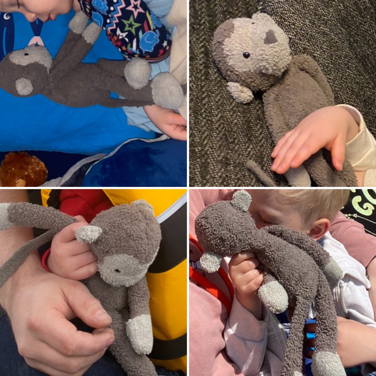 stilltwinkling's tweet photo. Left in a trolley @TescoPrestwich please help us find him. https://t.co/Rzslk8Q8Fk