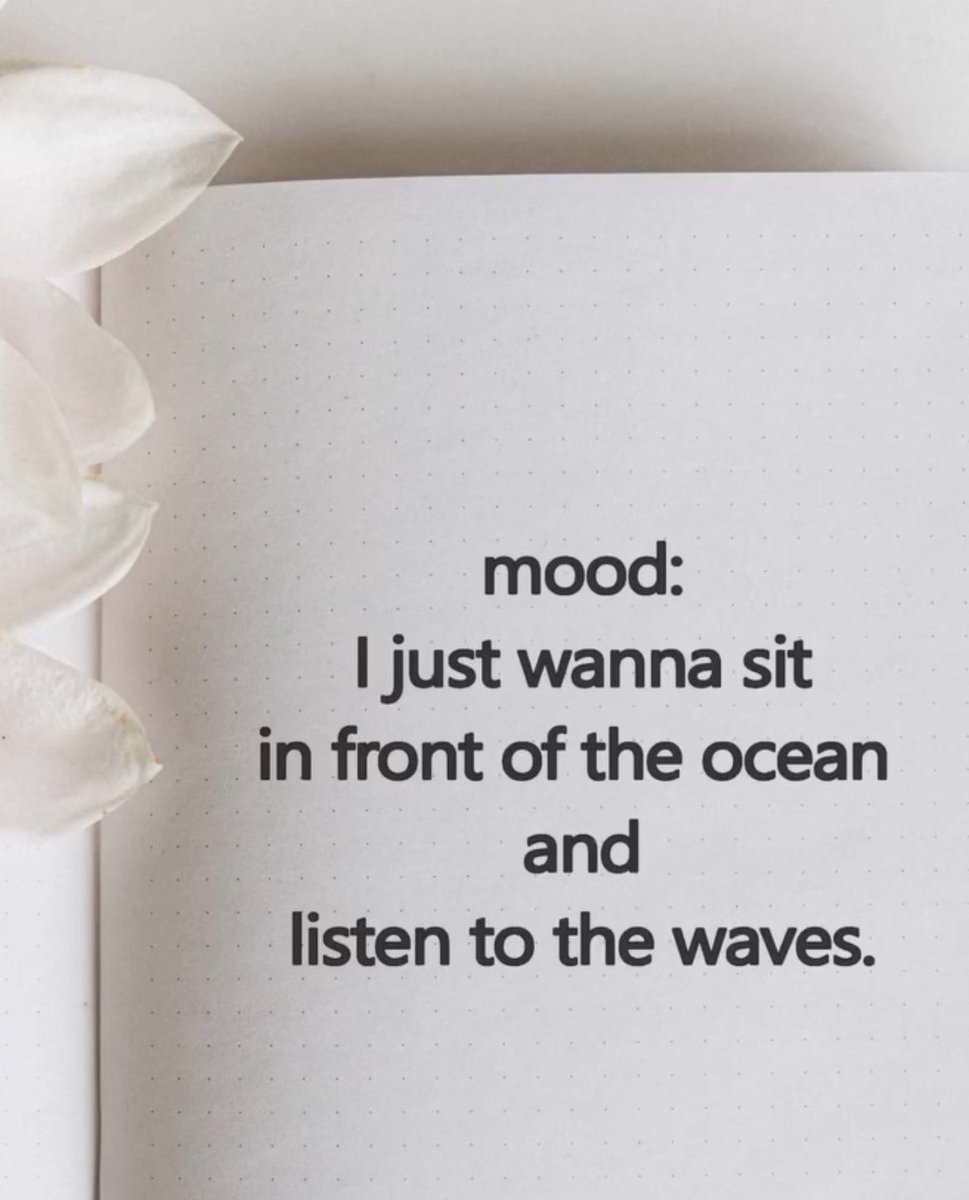 kelandren3's tweet image. I need more of this in my life...
#BodegaBay