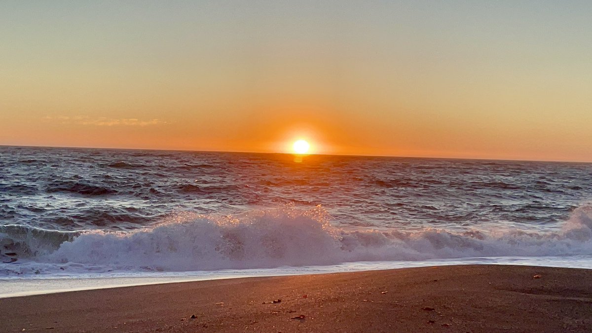 kelandren3's tweet image. I need more of this in my life...
#BodegaBay