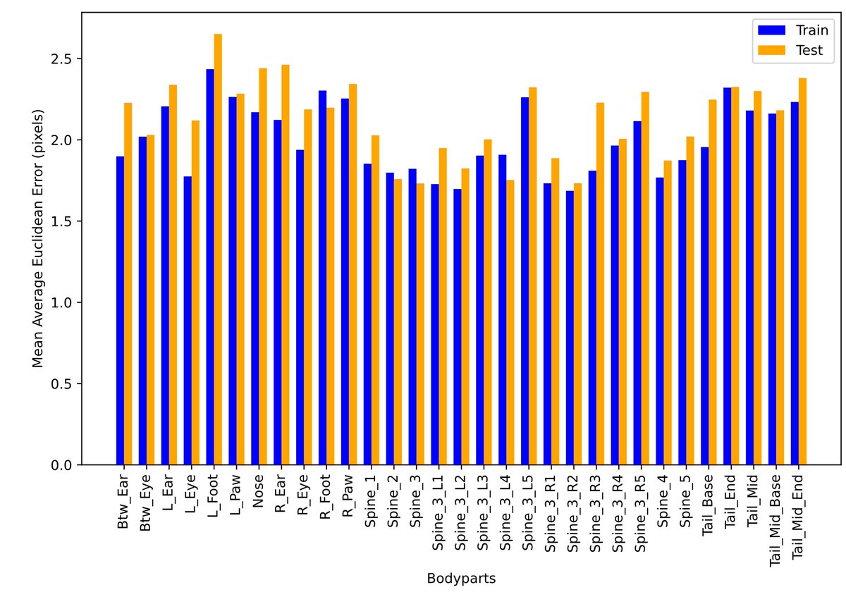vsccvscc's tweet image. Difficult to label our low-resolution videos of gonadal-independent rodent sexual behaviour. We augmented labelled high-resolution frames so the DeepLabCut model works on out-of-domain low-resolution videos. Then trained SimBA classifiers for rodent sexual behaviours.
