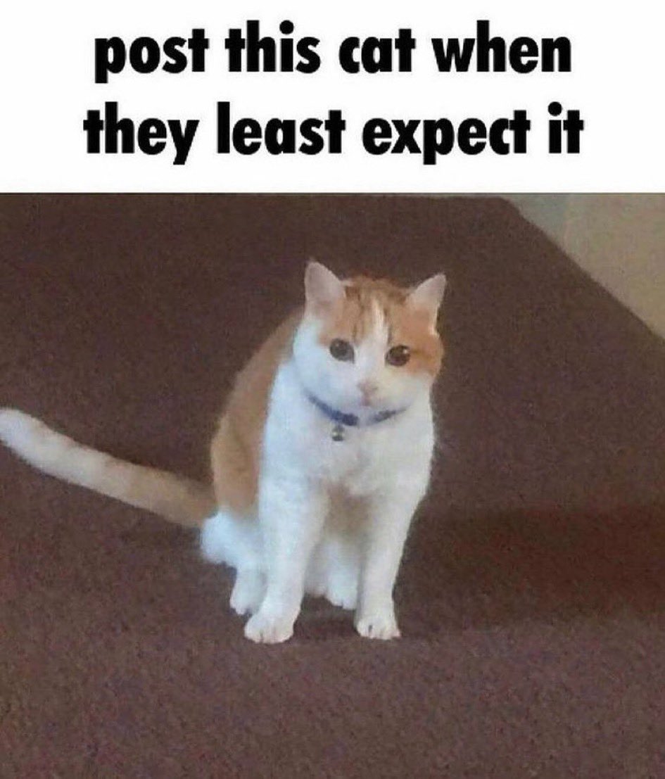 The cat company $SDGR on the move today.
Up 6% today.