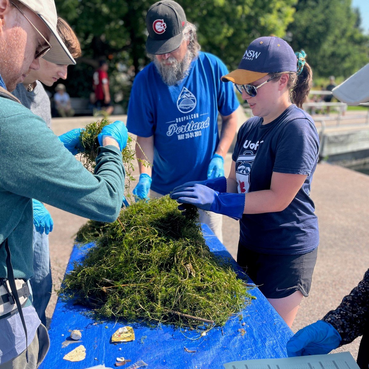 TOPortAuthority's tweet photo. What a great day! At Saturday's Trash Trap Dive, with the help of @UofTTrashTeam researchers, #FightingFloatablesTO partners and the community, we collected and characterized 1,385 small pieces of #plasticpollution from #trashtraps along Toronto’s Harbour, including @PortsToronto’s Seabins. #TorontoWaterfront #LakeOntario