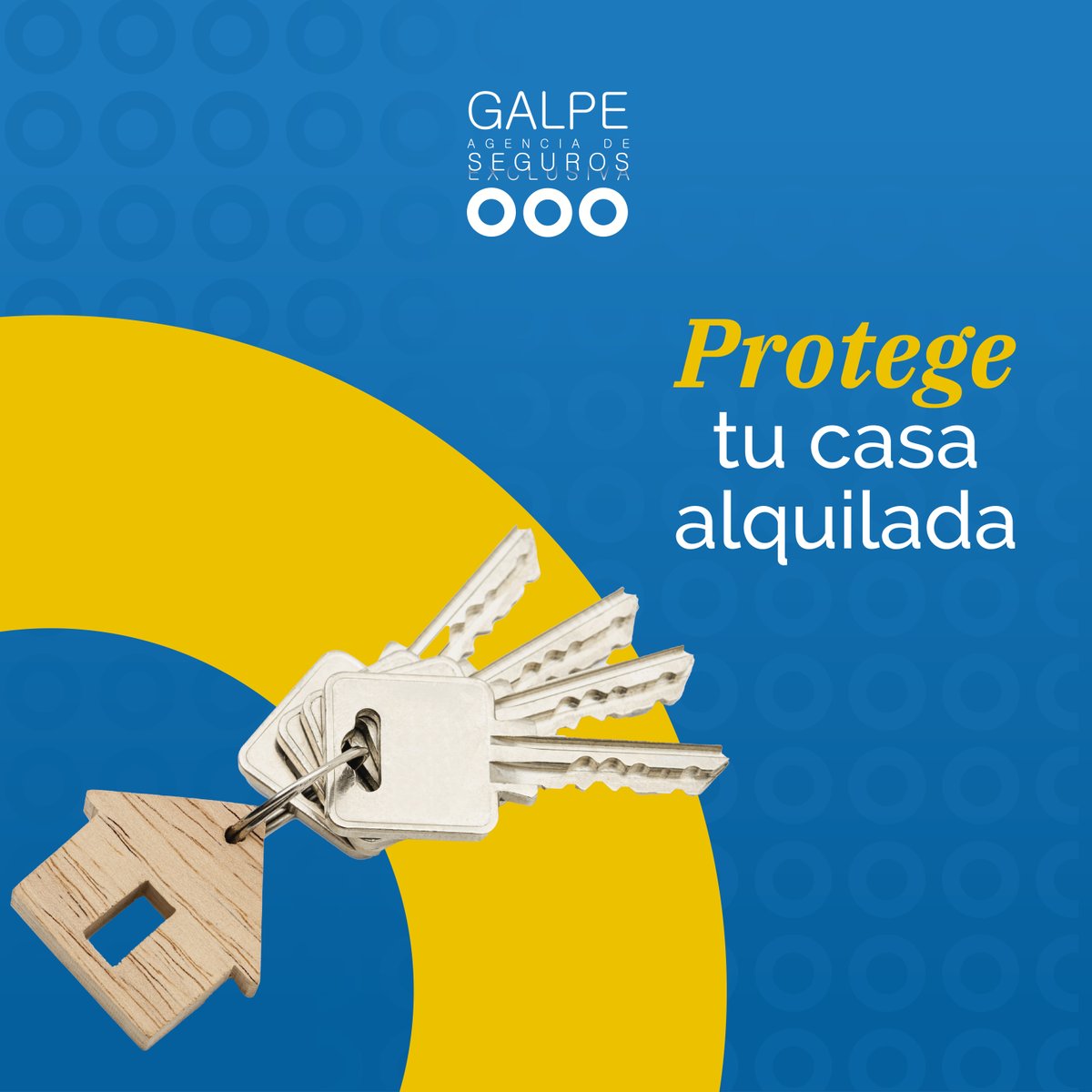 ✅ Te brindamos cobertura para los problemas más comunes en el alquiler de viviendas, como reclamaciones de inquilinos y otros desafíos relacionados con la renta de tu propiedad. ¡Estamos aquí para asegurar tu tranquilidad como propietario!

🔗 galpeagenciadeseguros.com