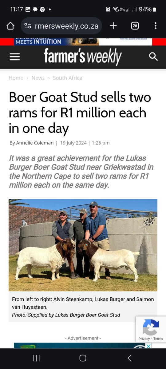 Goat farming is a multimillion rand business  there is the evidence