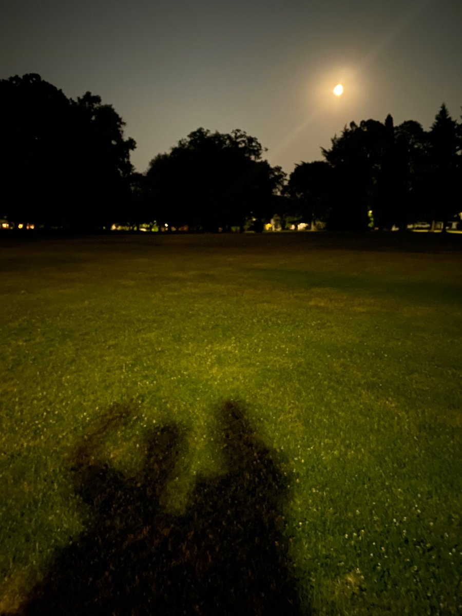 Zoë Fay-Stindt tweet media