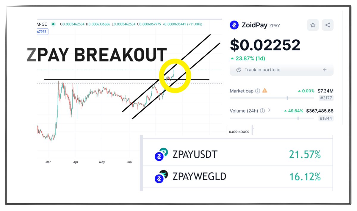 YEP, #ZPAYSqueeze is on. 🔥

- Still only $7.3M market cap (and about to launch crypto SuperApp with AustriaCard)
- Volume is up 50% in 24hrs

I'm #EGLDSqueeze-ing