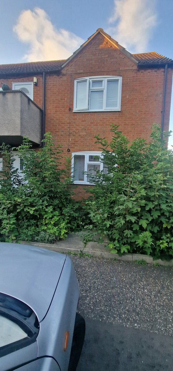 ComFirstPBoro's tweet photo. @LonghurstGroup We have been working with a resident of Acer Road Peterborough recently and this is the only way to access their property. The path is over grown any chance of trim❓ https://t.co/Y8cR29692s