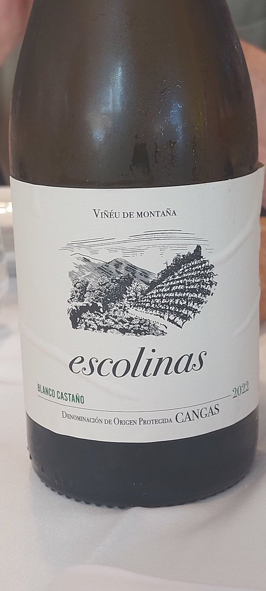 #PistaVinícola Escolinas Blanco Castaño 2022. Cangas. Albarín Blanco. Fincas con más del 30% de pendiente, alturas por encima a los 400 m, vasos de más de 60 años y suelos de pizarra disgregada, caliza y arcilla.
Muy buen blanco asturiano.
En <a href="/CoallaGourmet/">Coalla</a>