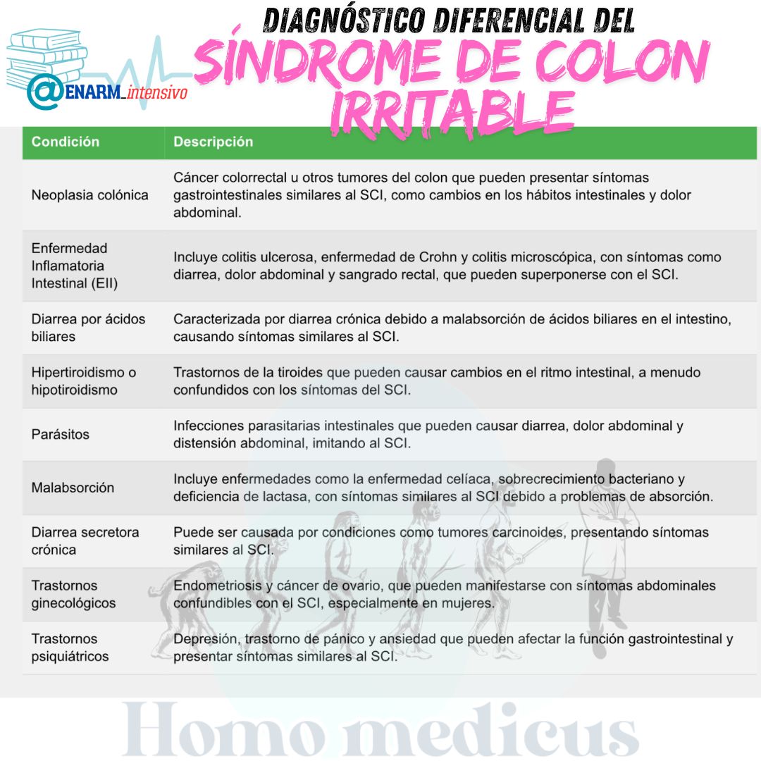 ENARM_intensivo's tweet photo. 👉SÍNDROME  DE  COLON  IRRITABLE

#ENARM_INTENSIVO #ENARM2024 #ENARM 

https://t.co/ms0bJM0kKZ