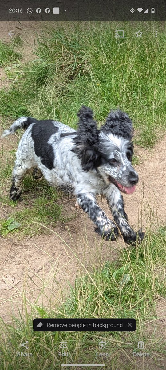 I was in the Park with Mummy and Daddy